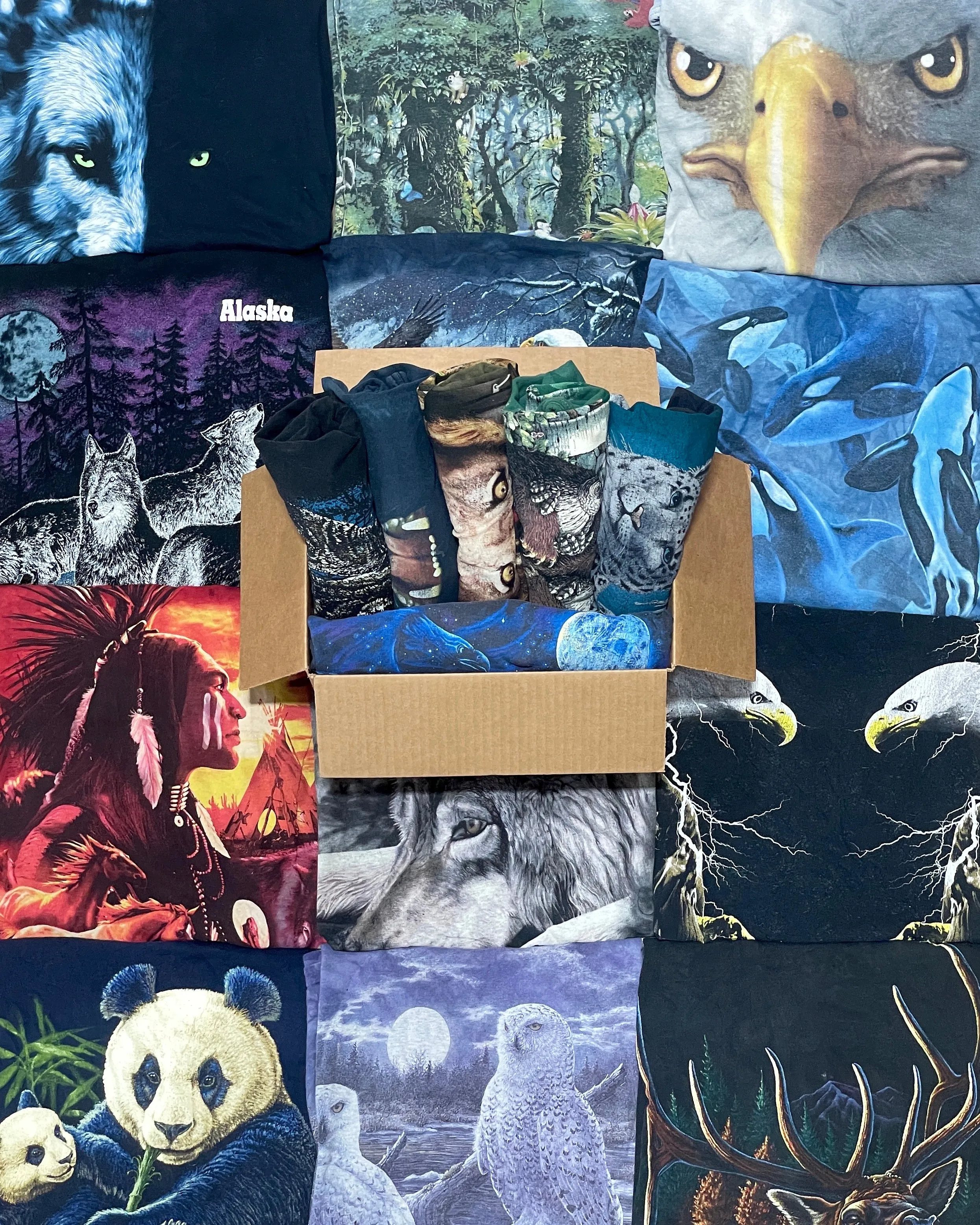 Animal Graphic T-Shirts