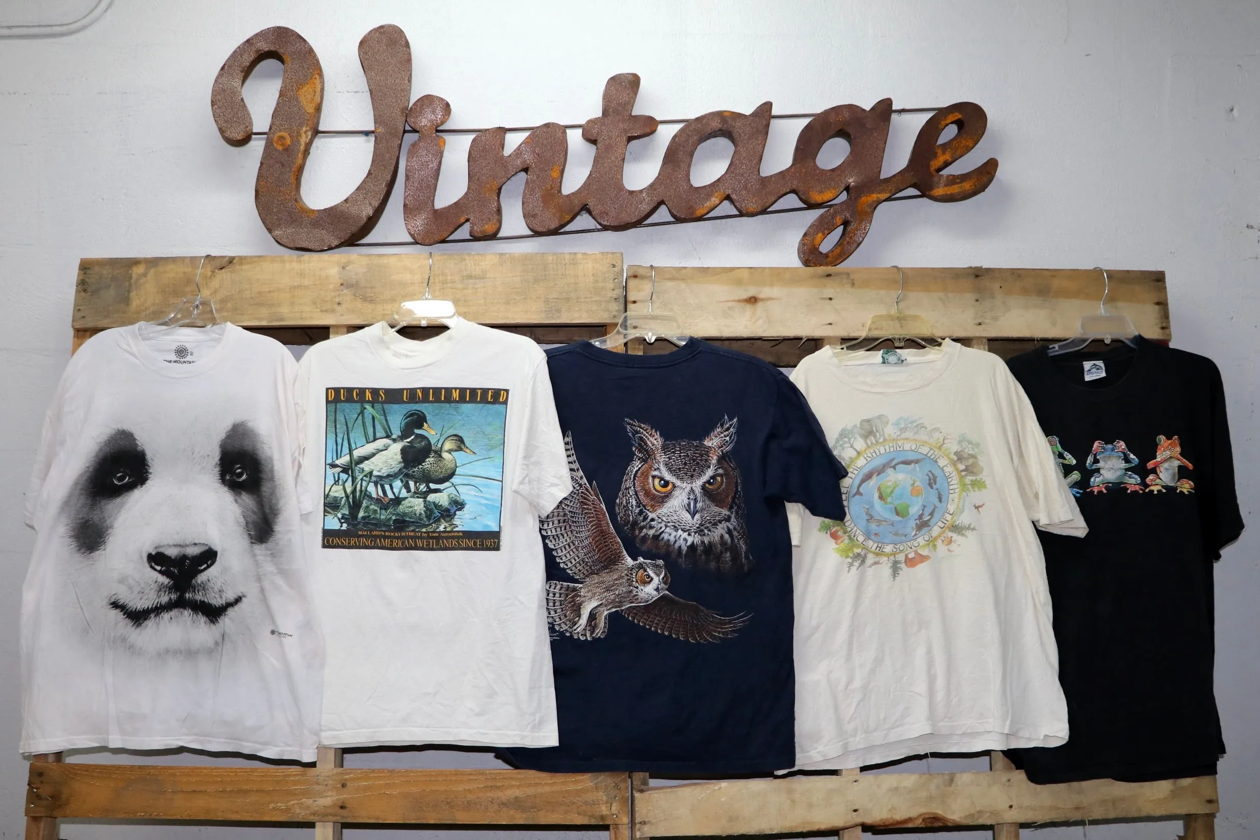 Animal Graphic T-Shirts